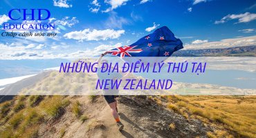 Những điểm đến mà bất kỳ du học sinh New Zealand nào cũng phải trải nghiệm