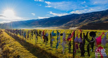 15 ĐIỂM DU LỊCH KÌ LẠ - HOT HIT TẠI NEW ZEALAND