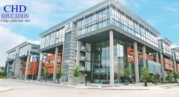 NGÀNH PHÂN TÍCH KINH DOANH Ở TRƯỜNG NORWEGIANT BUSSINESS (BI) – DU HỌC NA UY 