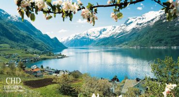 LÀM THẾ NÀO CHỌN ĐƯỢC CÔNG TY DU HỌC NAUY UY TÍN VÀ CHẤT LƯỢNG?