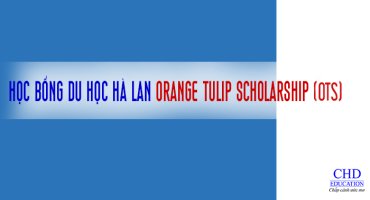HỌC BỔNG DU HỌC HÀ LAN ORANGE TULIP SCHOLARSHIP (OTS)