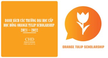 DANH SÁCH CÁC TRƯỜNG ĐẠI HỌC CẤP HỌC BỔNG ORANGE TULIP SCHOLARSHIP 2021 – 2022