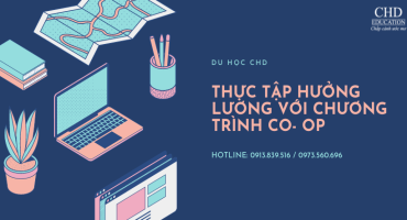 THỰC TẬP HƯỞNG LƯƠNG VỚI CHƯƠNG TRÌNH CO - OP