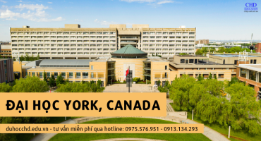 Đại học York, Bang Ontario, Du Học Canada