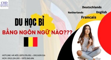 DU HỌC BỈ BẰNG NGÔN NGỮ NÀO?