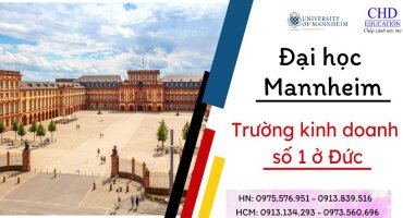 ĐẠI HỌC MANNHEIM - TRƯỜNG KINH DOANH SỐ 1 Ở ĐỨC