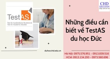 TESTAS LÀ GÌ? NHỮNG ĐIỀU CẦN BIẾT VỀ KỲ THI TESTAS DU HỌC ĐỨC
