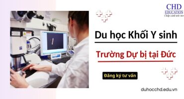 DU HỌC ĐỨC KHỐI Y SINH (KHỐI M) - CÁC TRƯỜNG DỰ BỊ TẠI CÁC BANG CHO SINH VIÊN QUỐC TẾ