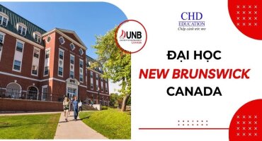 ĐẠI HỌC NEW BRUNSWICK - NHỮNG CHƯƠNG TRÌNH ĐÀO TẠO TỐT NHẤT