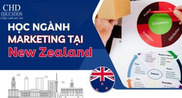 DU HỌC NEW ZEALAND NGÀNH MARKETING: ĐIỀU KIỆN, CHƯƠNG TRÌNH HỌC, TRƯỜNG, CƠ HỘI VIỆC LÀM