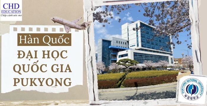 ĐẠI HỌC QUỐC GIA PUKYONG HÀN QUỐC: NGÔI TRƯỜNG HÀNG ĐẦU TẠI THÀNH PHỐ BUSAN