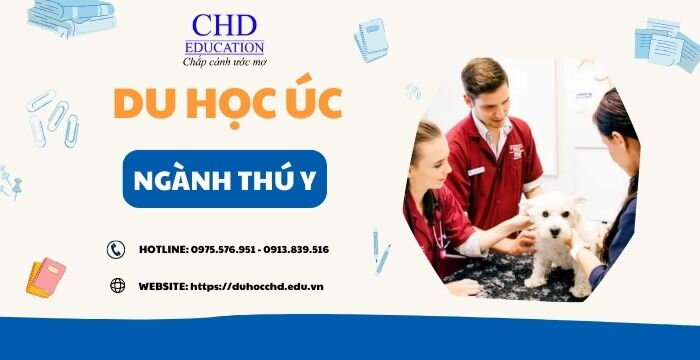 DU HỌC ÚC NGÀNH THÚ Y - NÊN HAY KHÔNG?