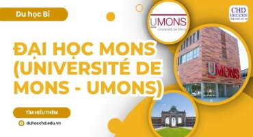 ĐẠI HỌC MONS (UNIVERSITÉ DE MONS - UMONS) - DU HỌC BỈ 2024