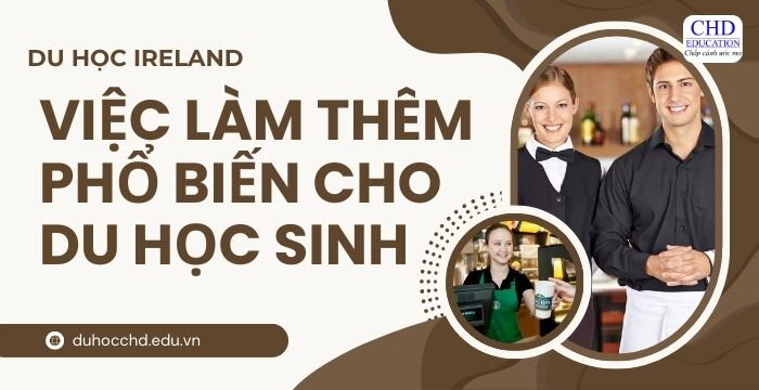 NHỮNG VIỆC LÀM THÊM PHỔ BIẾN CHO DU HỌC SINH TẠI IRELAND