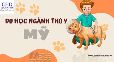 DU HỌC NGÀNH THÚ Y MỸ: MỞ RA CHÂN TRỜI MỚI TRONG HỌC TẬP VÀ NGHIÊN CỨU QUỐC TẾ.