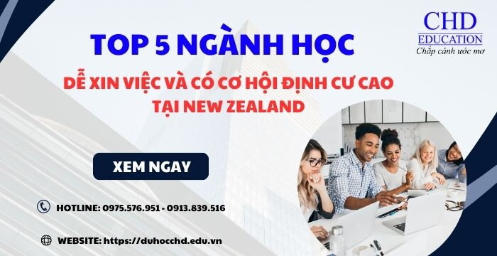 TỔNG HỢP 5 NGÀNH HỌC DỄ XIN VIỆC VÀ CÓ CƠ HỘI ĐỊNH CƯ CAO TẠI NEW ZEALAND