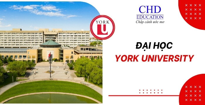 ĐẠI HỌC YORK UNIVERSITY - NGÔI TRƯỜNG CÔNG LẬP LỚN THỨ 3 TẠI CANADA