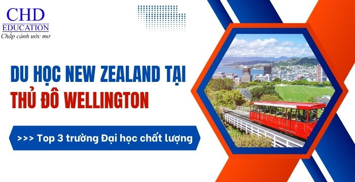 DU HỌC NEW ZEALAND TẠI THỦ ĐÔ WELLINGTON - TOP 3 CÁC TRƯỜNG ĐẠI HỌC HÀNG ĐẦU TẠI WELLINGTON