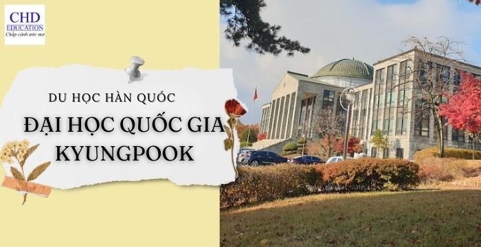 TỔNG HỢP THÔNG TIN VỀ ĐẠI HỌC QUỐC GIA KYUNGPOOK - TOP 3 NGÔI TRƯỜNG TRỌNG ĐIỂM TẠI HÀN QUỐC