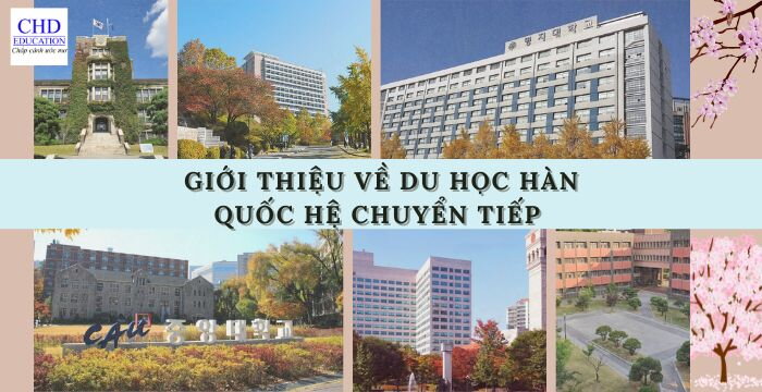 GIỚI THIỆU VỀ DU HỌC HÀN QUỐC HỆ CHUYỂN TIẾP