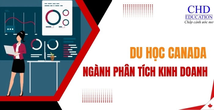 DU HỌC CANADA NGÀNH PHÂN TÍCH KINH DOANH: TỔNG QUAN, CÁC TRƯỜNG ĐÀO TẠO, CƠ HỘI VIỆC LÀM,...