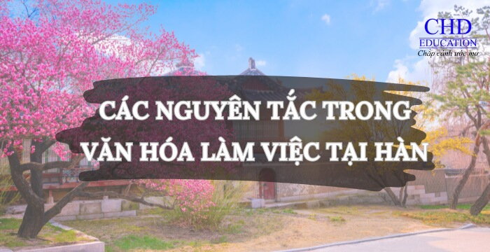 CÁC NGUYÊN TẮC TRONG VĂN HÓA LÀM VIỆC TẠI HÀN QUỐC