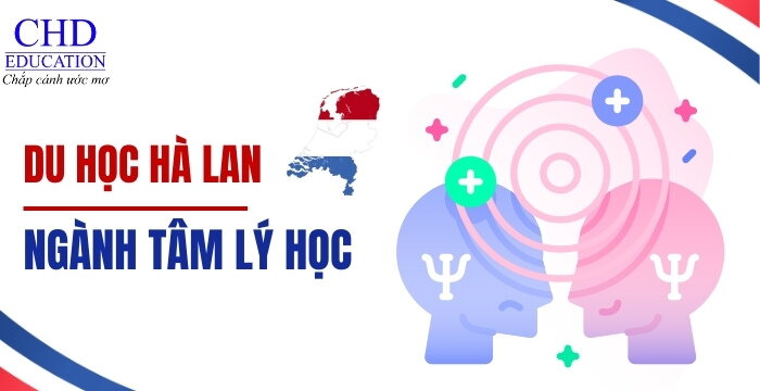 DU HỌC NGÀNH TÂM LÝ HỌC TẠI HÀ LAN: HÀNH TRÌNH KHÁM PHÁ BẢN THÂN VÀ THẾ GIỚI TÂM TRÍ