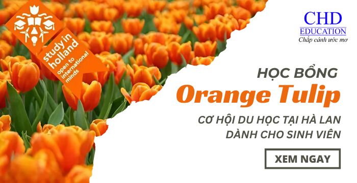 HỌC BỔNG ORANGE TULIP: CƠ HỘI DU HỌC TẠI HÀ LAN