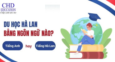 DU HỌC HÀ LAN NÊN HỌC BẰNG NGÔN NGỮ NÀO: TIẾNG ANH HAY TIẾNG HÀ LAN?