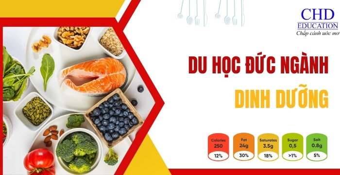 DU HỌC ĐỨC NGÀNH DINH DƯỠNG CÓ TỐT KHÔNG - CƠ HỘI HỌC TẬP VÀ NGHỀ NGHIỆP CHO SINH VIÊN QUỐC TẾ