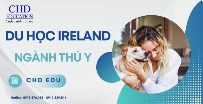 DU HỌC NGÀNH THÚ Y TẠI IRELAND