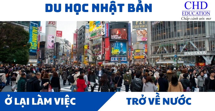 SAU DU HỌC NÊN Ở LẠI LÀM VIỆC HAY TRỞ VỀ NƯỚC? CHỌN NGHỀ NGHIỆP VÀ CƠ HỘI ĐỊNH CƯ TẠI NHẬT BẢN SAU KHI HOÀN THÀNH DU HỌC