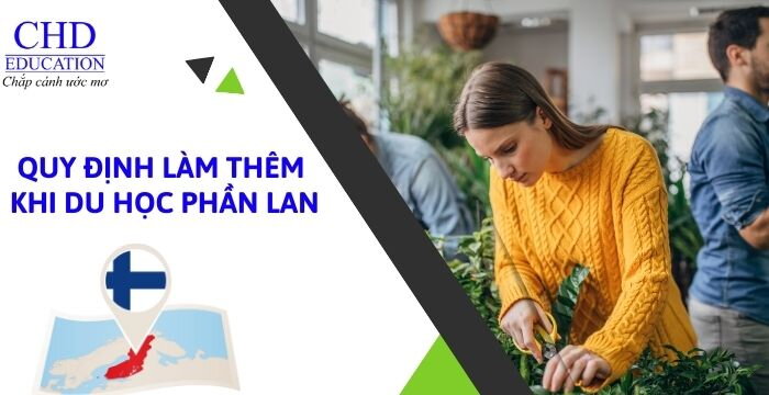 CÁC QUY ĐỊNH PHÁP LÝ VỀ LÀM THÊM CHO DU HỌC SINH TẠI PHẦN LAN