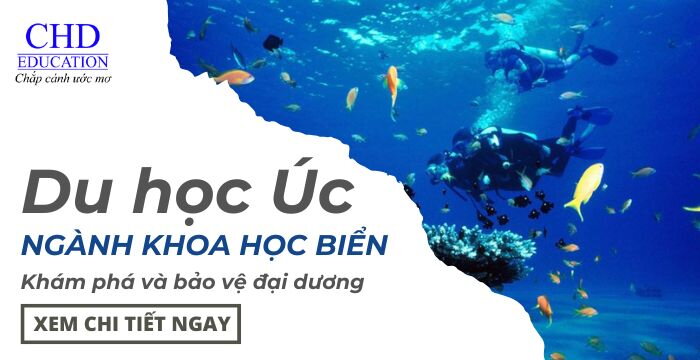 Du học Úc ngành Khoa học Biển: Khám phá và bảo vệ đại dương