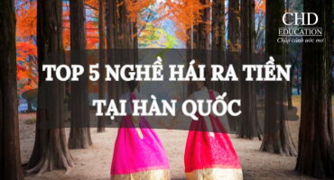 TOP 5 CÔNG VIỆC HÁI RA TIỀN TẠI HÀN QUỐC DU HỌC SINH NÊN BIẾT