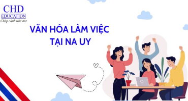 VĂN HÓA LÀM VIỆC TẠI NA UY: TẤT CẢ NHỮNG ĐIỀU BẠN CẦN BIẾT