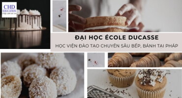 TỔNG HỢP THÔNG TIN TỪ A - Z VỀ ĐẠI HỌC ÉCOLE DUCASSE: HỌC VIỆN ĐÀO TẠO CHUYÊN SÂU BẾP, BÁNH TẠI PHÁP