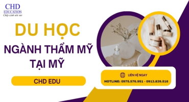 NGÀNH HỌC THẨM MỸ TẠI MỸ