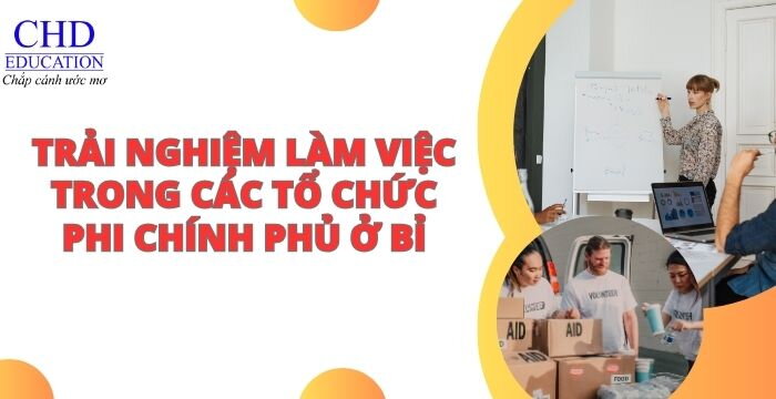 TRẢI NGHIỆM LÀM VIỆC TRONG CÁC TỔ CHỨC PHI CHÍNH PHỦ Ở BỈ