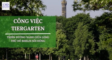 KHÁM PHÁ CÔNG VIỆC TIERGARTEN: THIÊN ĐƯỜNG XANH GIỮA LÒNG THỦ ĐÔ BERLIN SÔI ĐỘNG