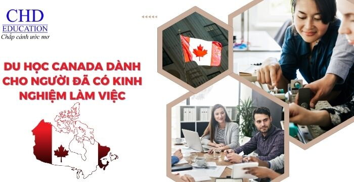 DU HỌC CANADA DÀNH CHO NGƯỜI ĐÃ CÓ KINH NGHIỆM LÀM VIỆC