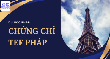 TẤT TẦN TẬT THÔNG TIN VỀ CHỨNG CHỈ TEF