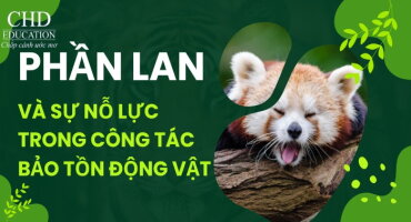 PHẦN LAN VÀ SỰ NỖ LỰC TRONG CÔNG TÁC BẢO TỒN ĐỘNG VẬT