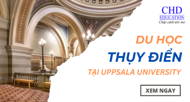 Du Học Thụy Điển Tại Uppsala University – Nền Tảng Giáo Dục Hàng Đầu