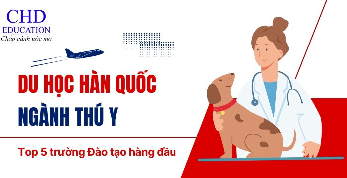 DU HỌC HÀN QUỐC NGÀNH THÚ Y - TOP 5 TRƯỜNG ĐẠI HỌC HÀNG ĐẦU ĐỂ THEO HỌC NGÀNH THÚ Y TẠI HÀN QUỐC