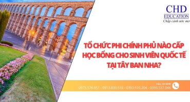 TỔ CHỨC PHI CHÍNH PHỦ NÀO CẤP HỌC BỔNG CHO SINH VIÊN QUỐC TẾ TẠI TÂY BAN NHA