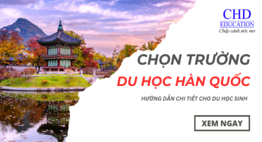 Chọn Trường Khi Du Học Hàn Quốc: Hướng Dẫn Chi Tiết Cho Du Học Sinh