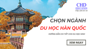 Chọn Ngành Khi Du Học Hàn Quốc: Hướng Dẫn Chi Tiết