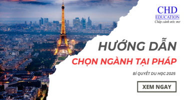 Hướng Dẫn Chọn Ngành Khi Du Học Pháp Mới Nhất 2025