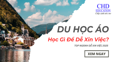 Du Học Áo Nên Học Ngành Gì? Top Ngành Dễ Xin Việc 2025